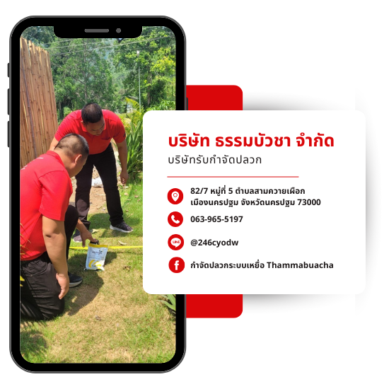 Contact - ธรรมบัวชา
